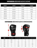 Hayabusa T3 Boxing Gloves