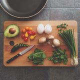 TF Total Nutrition Bundle - Video/Audio Courses (Immediate Download)